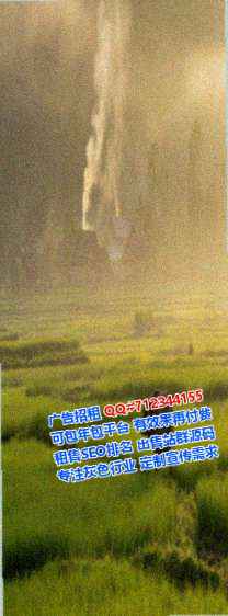 灯塔代妈信息经营部